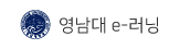 영남대 e-러닝